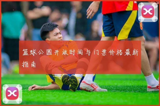 篮球公园开放时间与门票价格最新指南